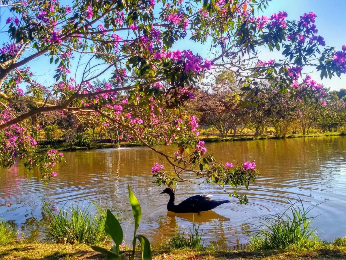 Pousada Chales Do Retiro - Serra Do Cipo Mg Jaboticatubas Exteriör bild